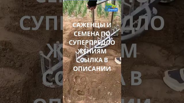 лайфхак | Саженцы и семена по суперпредложениям ссылка в описании