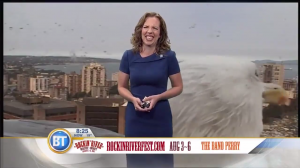 «Гигантская» чайка прервала прогноз погоды канадского телеканала