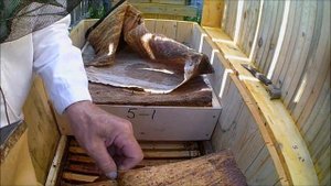 Установка магазинов в лежаки