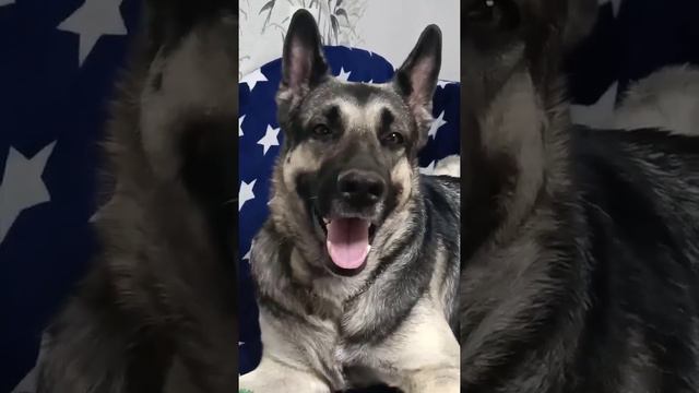 РЕДЧАИШИЕ КАДРЫ ВЕО МИРА смотреть онлайн