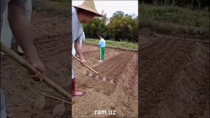 XITOY Boshqa darajadagi zamonaviy qishloq xo'jaligi mashinalari ram uz Quantum Tech HD 2022