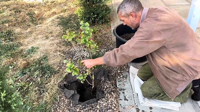 Разделяем, и умножаем!… смотреть онлайн