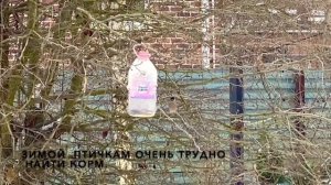Покормите птичек холодной зимой.Семечки для птиц.