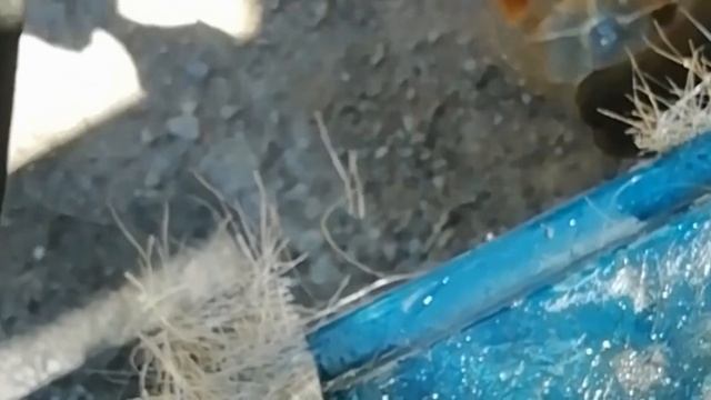 Лепка полиэфирной смолой BMW E36! смотреть онлайн