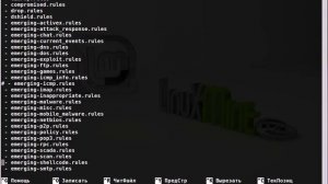 Установка и настройка Suricata IDS в Linux