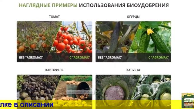 Биоудобрение  Агромакс купить, цена, отзывы  AGROMAX стимулятор роста растений, обзор,