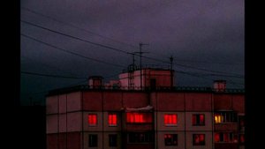 corn wave - summer playlist