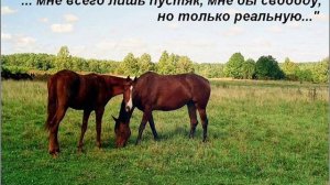 Амирамов Ефрем-Кто не верит в меня