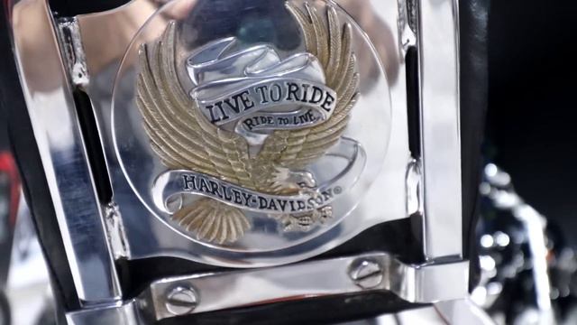 Harley Davidson street Bob walkaround | Born Creator смотреть онлайн