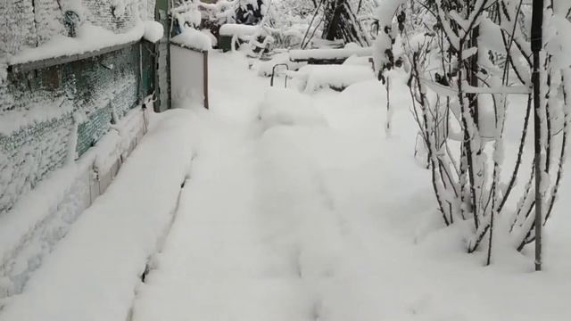 Красота на даче смотреть онлайн