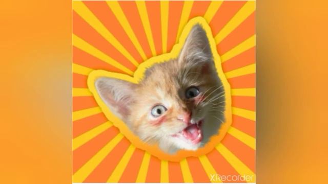 песня Симба я люблю тебя смотреть онлайн