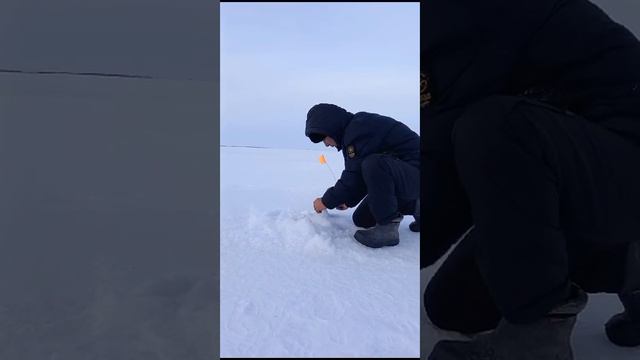 Рыбалка на жерлицы 2024г смотреть онлайн