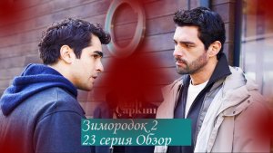 Зимородок 2. Новая 24 серия. Обзор