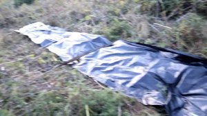 ЧТО ДЕЛАТЬ, ЕСЛИ УЧАСТОК ЗАРОС?