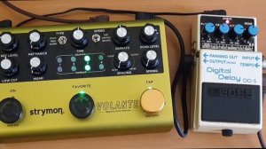 Strymon Volante vs Boss DD5 | Dotted Eight