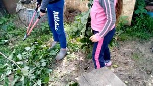 Дети//Веники//Теплица//Земляника из семян, сорт Руяна и Барон Солемахер