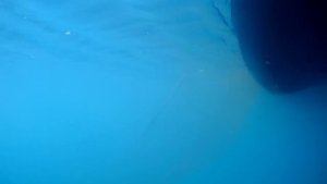 Промысел летом. Подводная съемка - ловим барабулю донником.