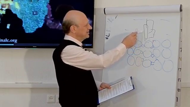 ДНК. Клетка человека (Лекция 1.5 Семенов И.Н.), часть 3 смотреть онлайн