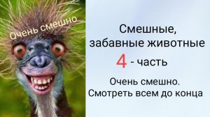 Смешные, забавные животные. 
4 - часть.
 Очень смешно. Смотреть всем до конца