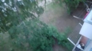 Летний вечер