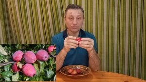 Кандиль багряный - сорт яблони.