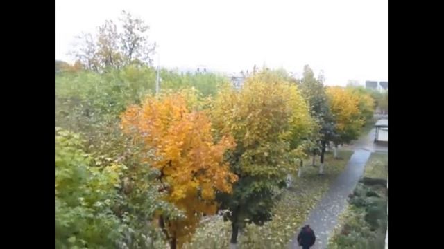 "Клён, Канадская рябина! Сезон за сезоном – на моей улице!" смотреть онлайн