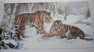 Мои процессы Январь 2017