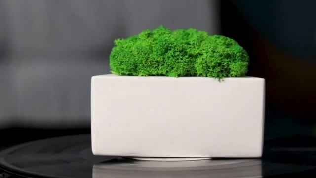 Оригинальный подарок на день рождения Triangle rock - кашпо со мхом смотреть онлайн