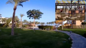 Caribbean World Resort Soma Bay 5*