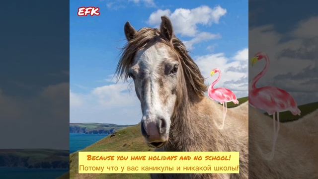 Урок 13. Времена года и погода. Разговорный английский для детей и их родителей. Уроки английского. смотреть онлайн