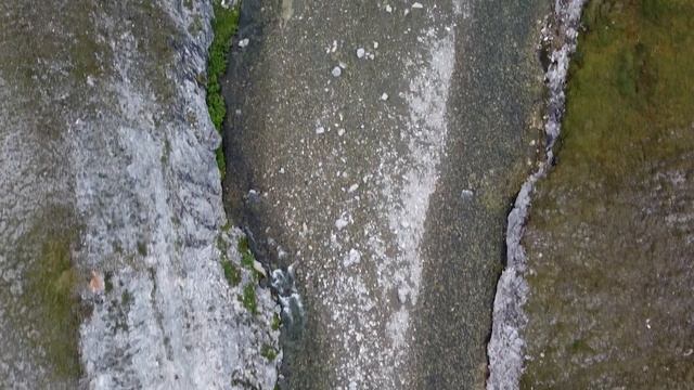 Встретили стадо оленей. Красота природы северной России. смотреть онлайн