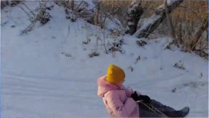 Н А Некрасов Саша из поэмы Саша