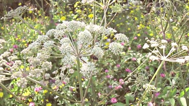 Тысовец - 2014 смотреть онлайн