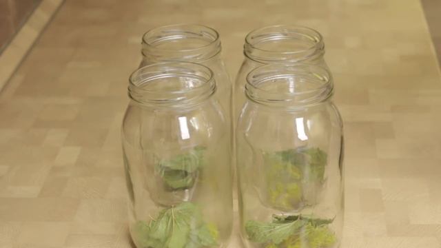 РЕЦЕПТ - БОМБА! ? ХРУСТЯЩИЕ МАРИНОВАННЫЕ ОГУРЧИКИ 