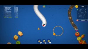 Червячная зона (11)