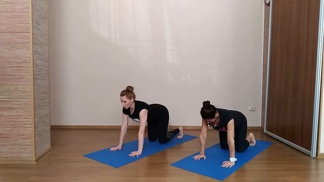 Сурья Намаскар для репродуктивной системы смотреть онлайн