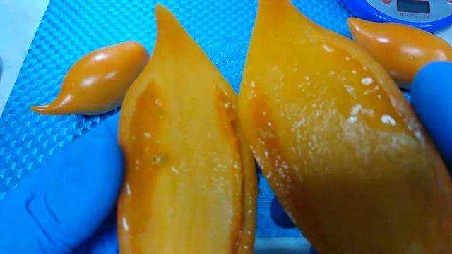 Обзор томатов в разрезе. сорт Буратино Часть 3 смотреть онлайн