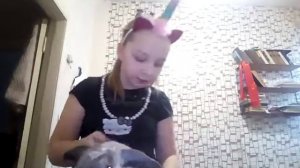 Хотите кролика? Как одеть шлейку на кролика беги смотреть