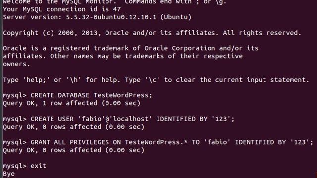 Instalação do WordPress - Sistema de Gerenciamento de Blogs no Linux Ubuntu смотреть онлайн