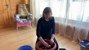 Посадка аллиума в кашпо.