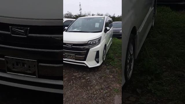 Toyota Noah 2018 WxB