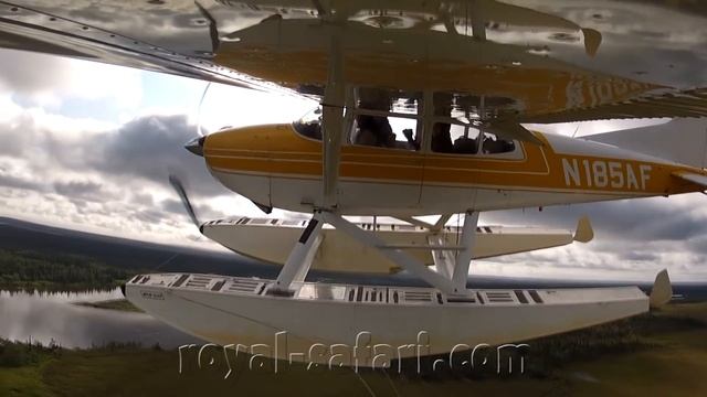 Увлекательная ловля форели на Аляске смотреть онлайн