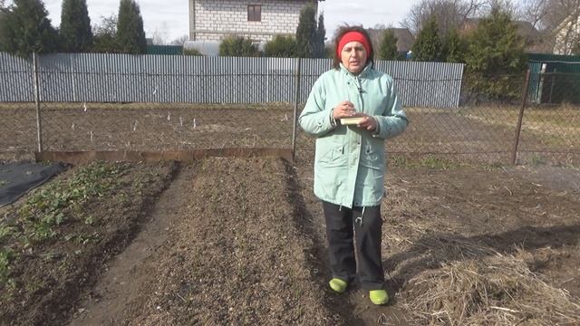 Первоочередные работы весной на грядке озимого чеснока смотреть онлайн