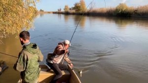 Ловля жереха на спиннинг