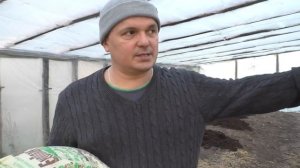 Как улучшить истощённую почву. Это нужно сделать осенью!