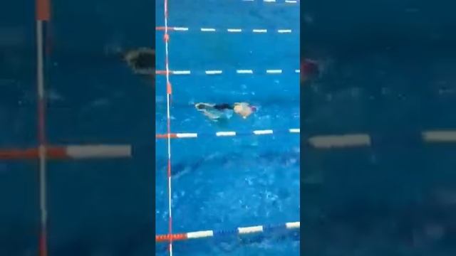 Соревнования по плаванию смотреть онлайн