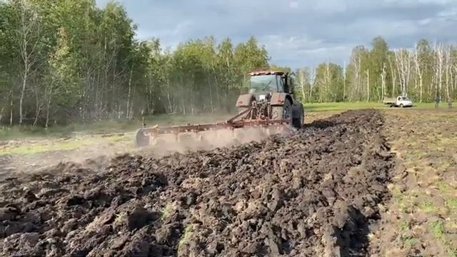 МТЗ 3022 с ПЛН 8-35 пашет целинные земли после дискования смотреть онлайн