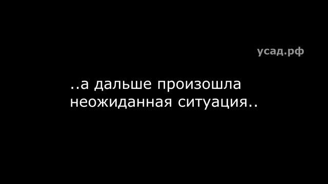 Дворец у реки, который вы (не) купите, потому что он (не) продаётся. смотреть онлайн