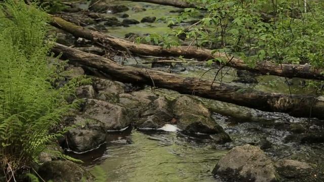 ЛАДОГА смотреть онлайн