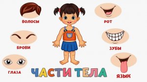 Развивающие мультики для малышей - Учим части тела для детей  - Развитие детей